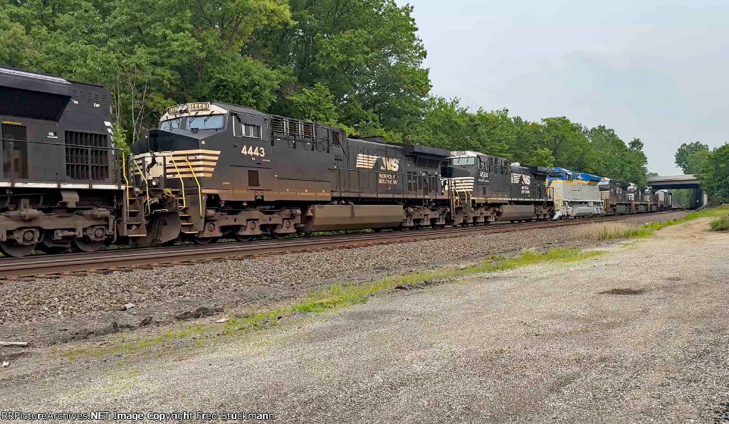 NS 4443
